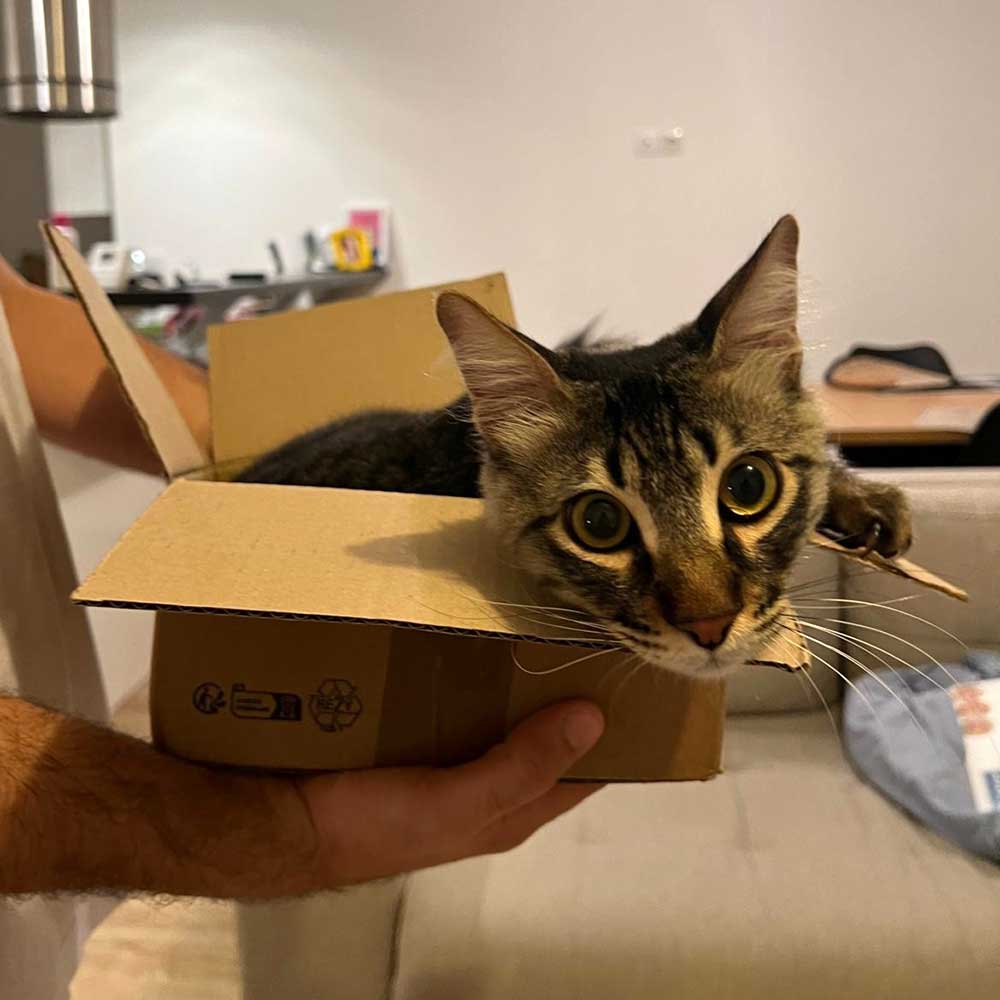 FELIX IS NOW IN LE HAVRE, HOME!
