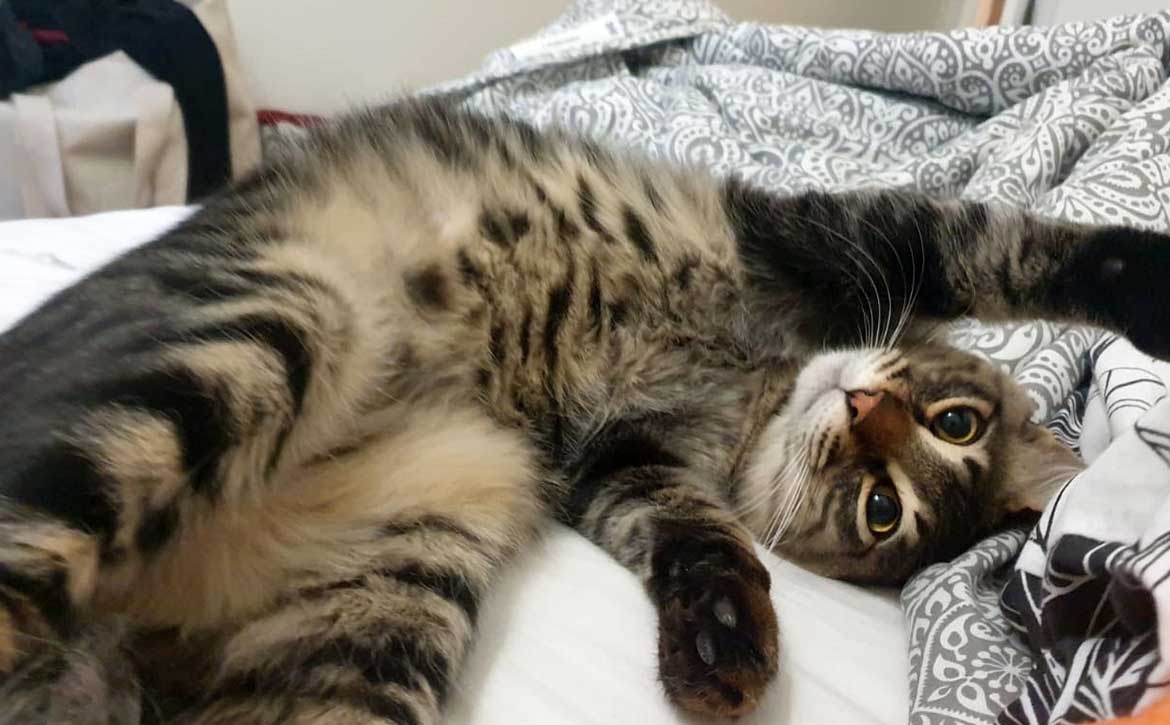 FELIX IS NOW IN LE HAVRE, HOME!