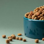 UNDERSTANDING THE CRITICAL ROLE OF QUALITY PET FOOD IN THEIR HEALTH