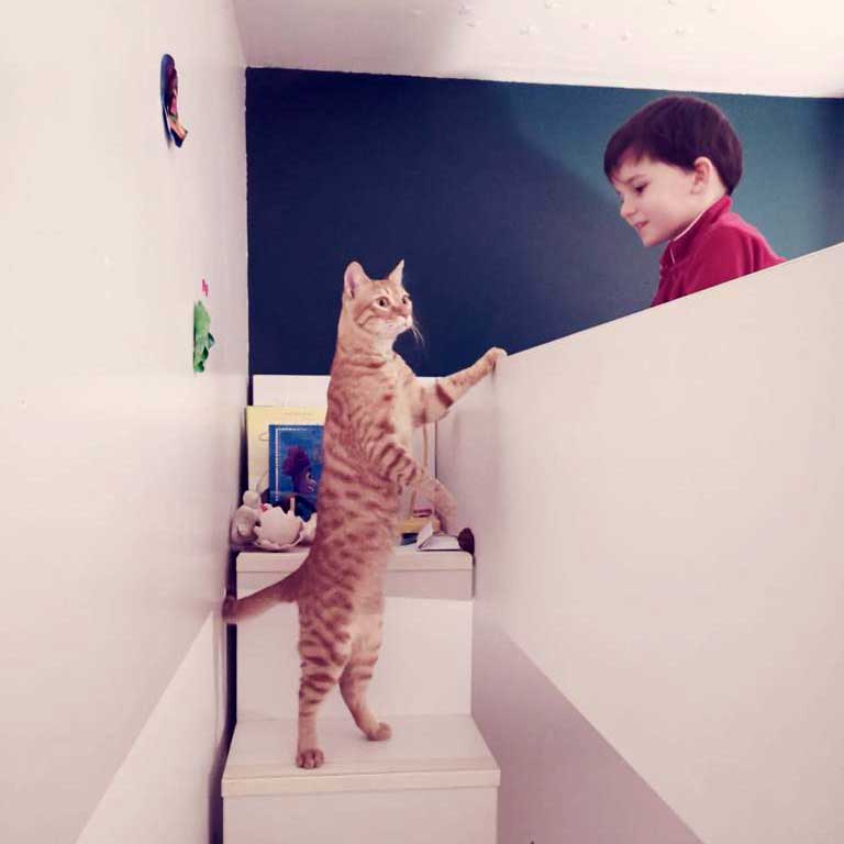fred-adopted-3