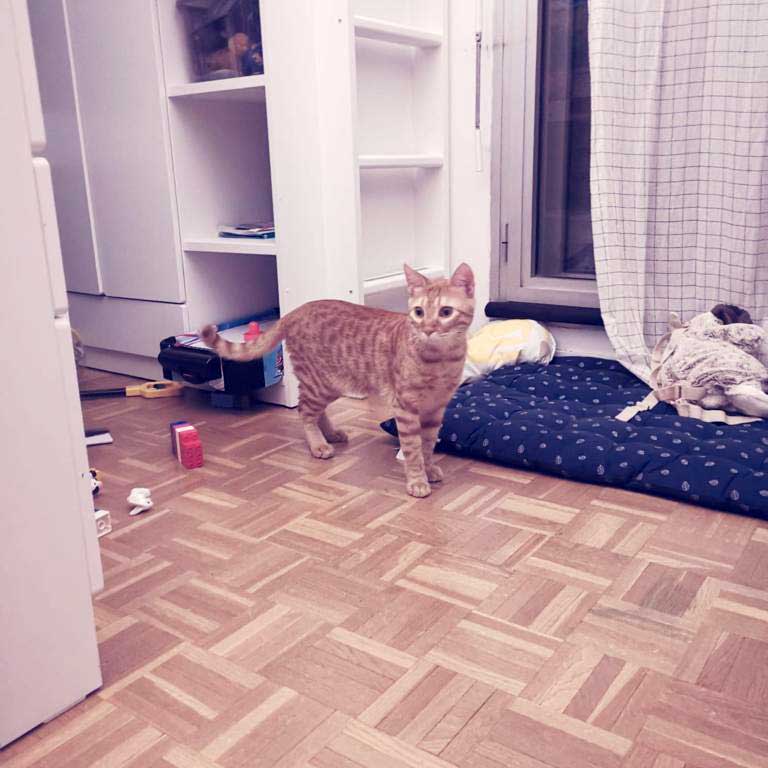 fred-adopted-4