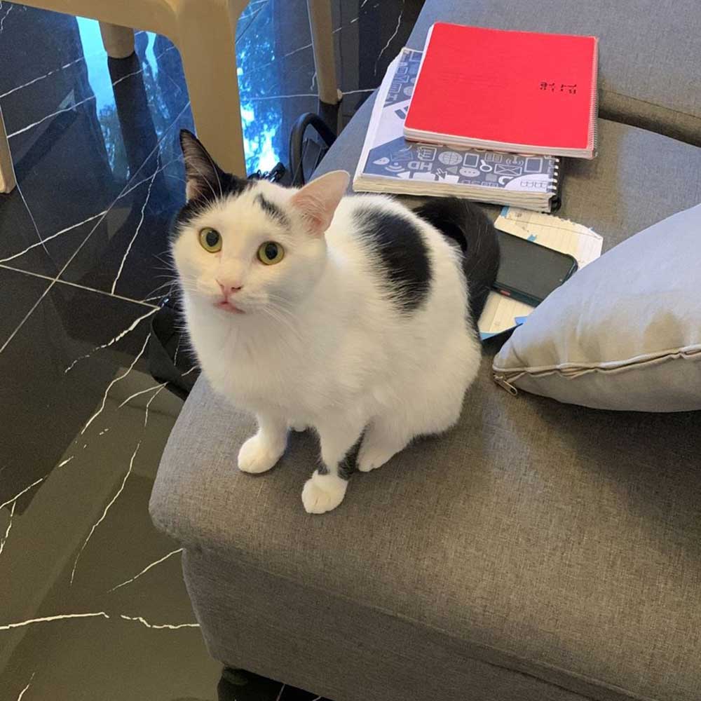 oliver