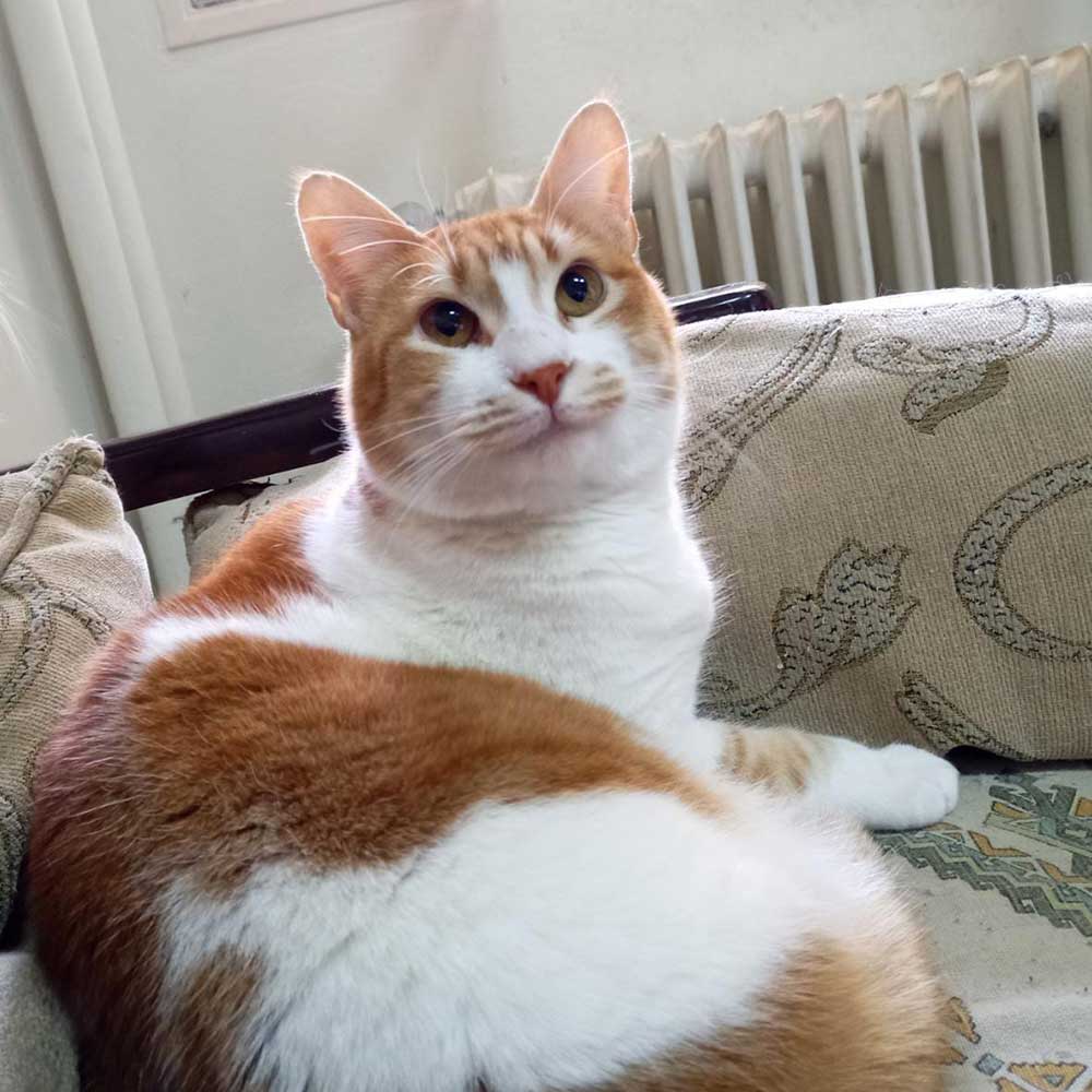 sally