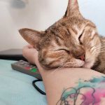 SCARLETT: A THREE-LEGGED SWEETHEART - BY HER MOM