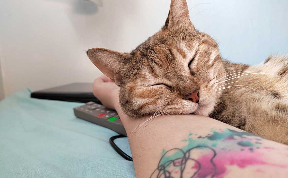 SCARLETT: A THREE-LEGGED SWEETHEART - BY HER MOM
