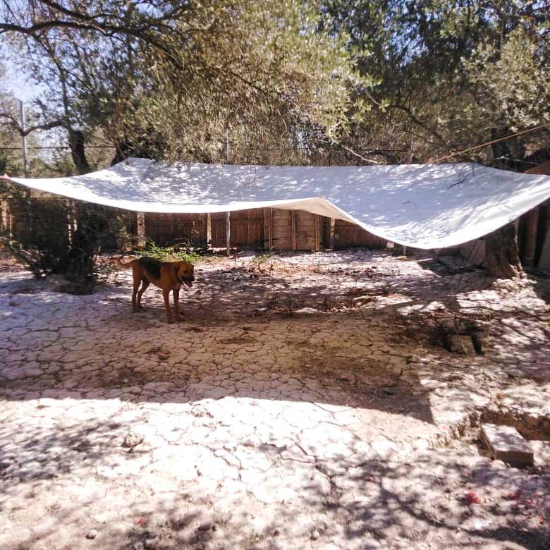 SHADES FOR A SHELTER