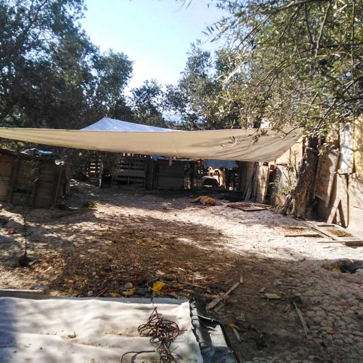 SHADES FOR A SHELTER