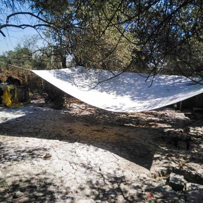 SHADES FOR A SHELTER