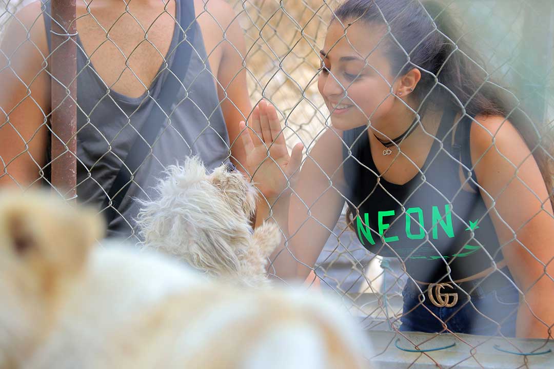 GATHERING AT WOOF’N WAG