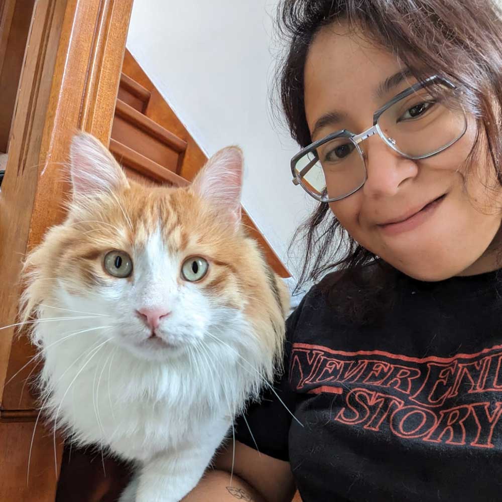 he is a pretty normal cat who just happens to be missing a leg - troy by his mom