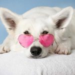 valentine's 2021 with your beautiful photos