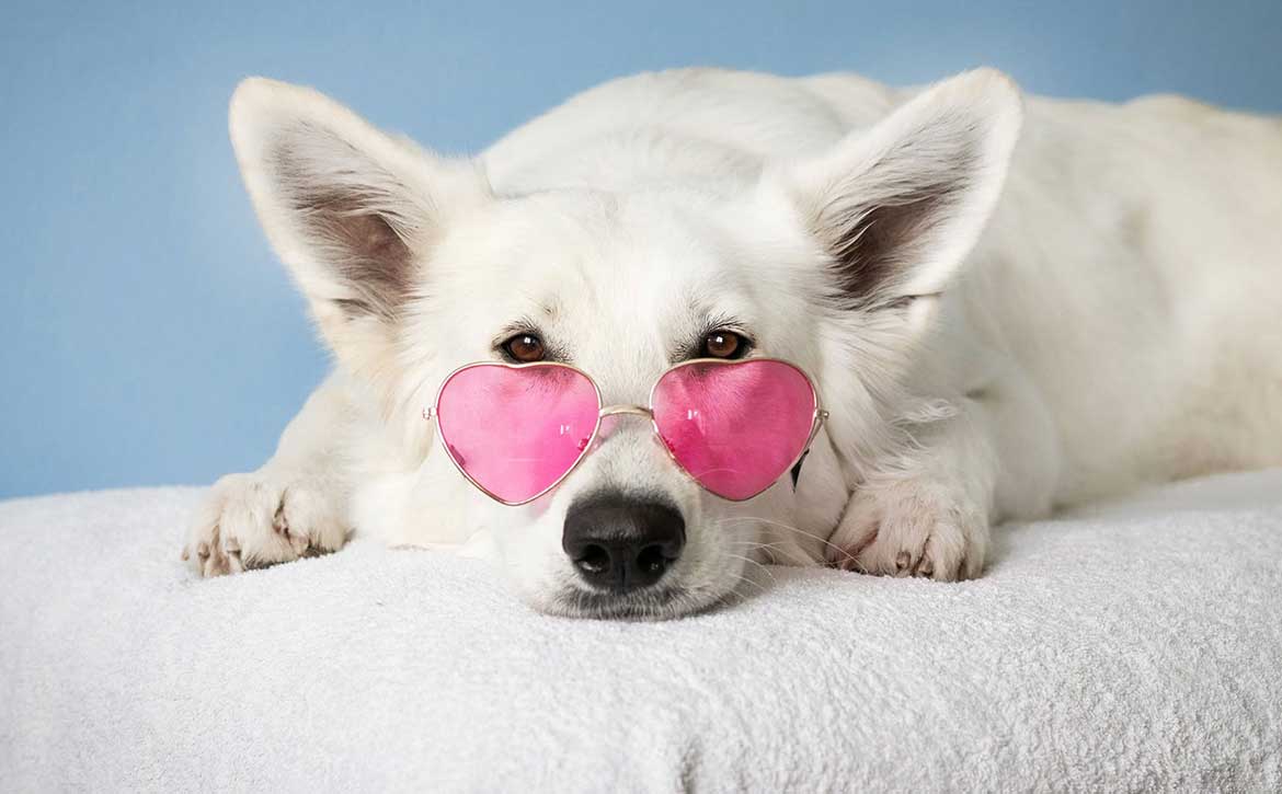 valentine's 2021 with your beautiful photos