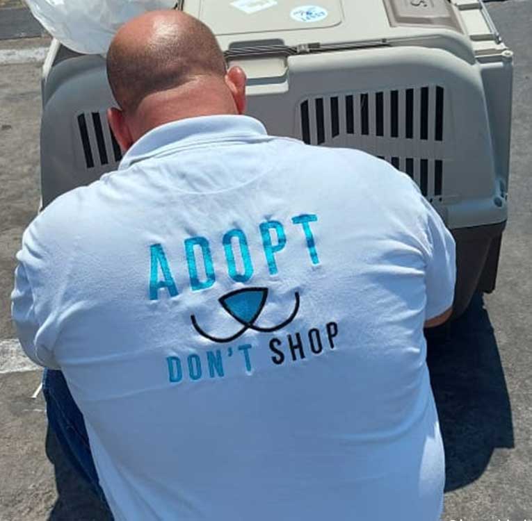 volunteer with adopt don't shop