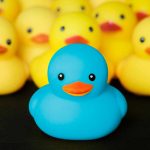EASTER CHICKS: COLORING TRADITION OR HARMFUL PRACTICE?