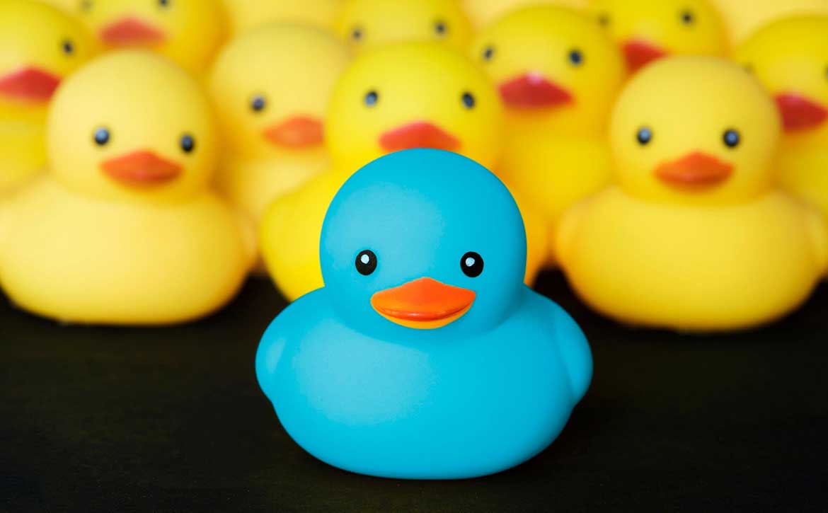 EASTER CHICKS: COLORING TRADITION OR HARMFUL PRACTICE?