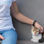 BEWARE OF PET RESCUERS WHO DECEIVE WITH EMPTY PROMISES