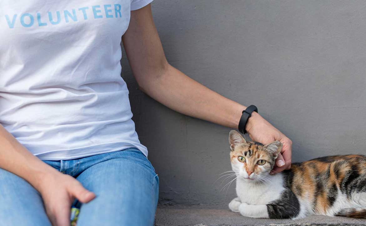 BEWARE OF PET RESCUERS WHO DECEIVE WITH EMPTY PROMISES