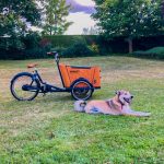 EMBRACING UNIQUENESS: THE BEAUTY OF ADOPTING SPECIAL PETS
