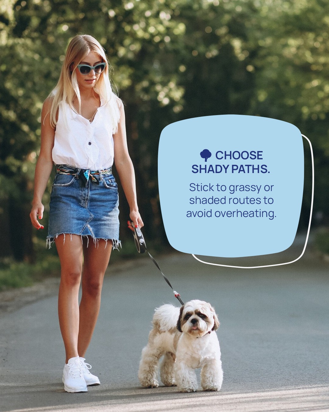 walk-dogs-summer (1)