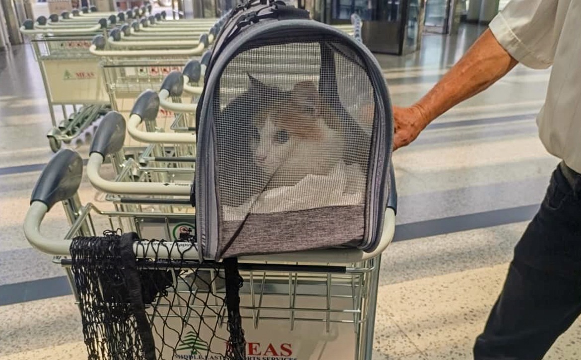 simba off to paris