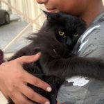 baby elvis rescued
