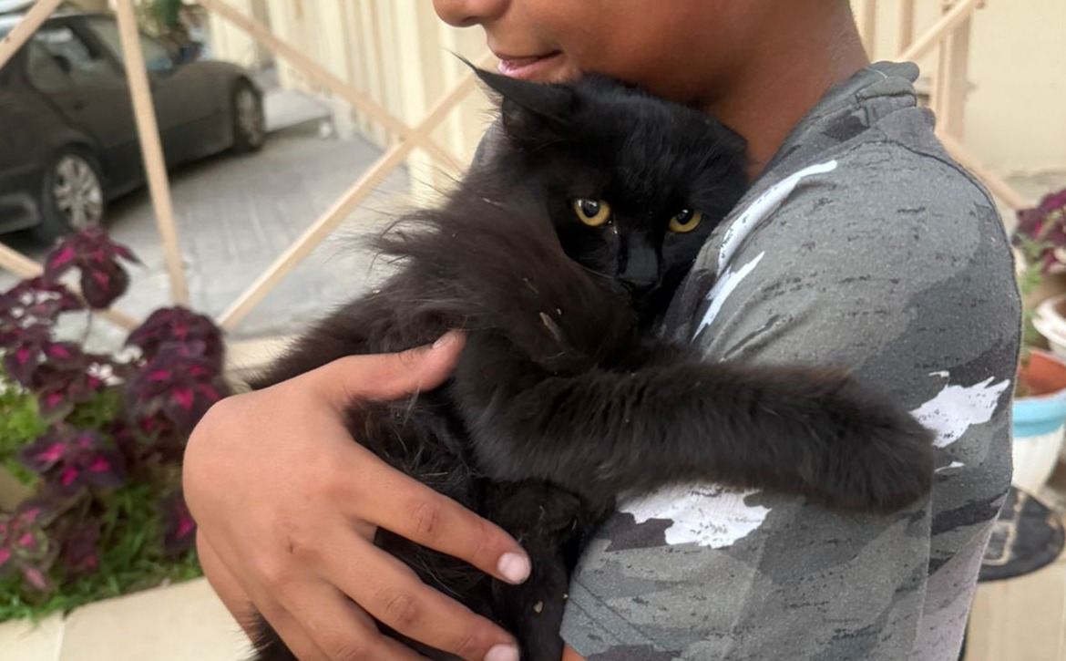 baby elvis rescued