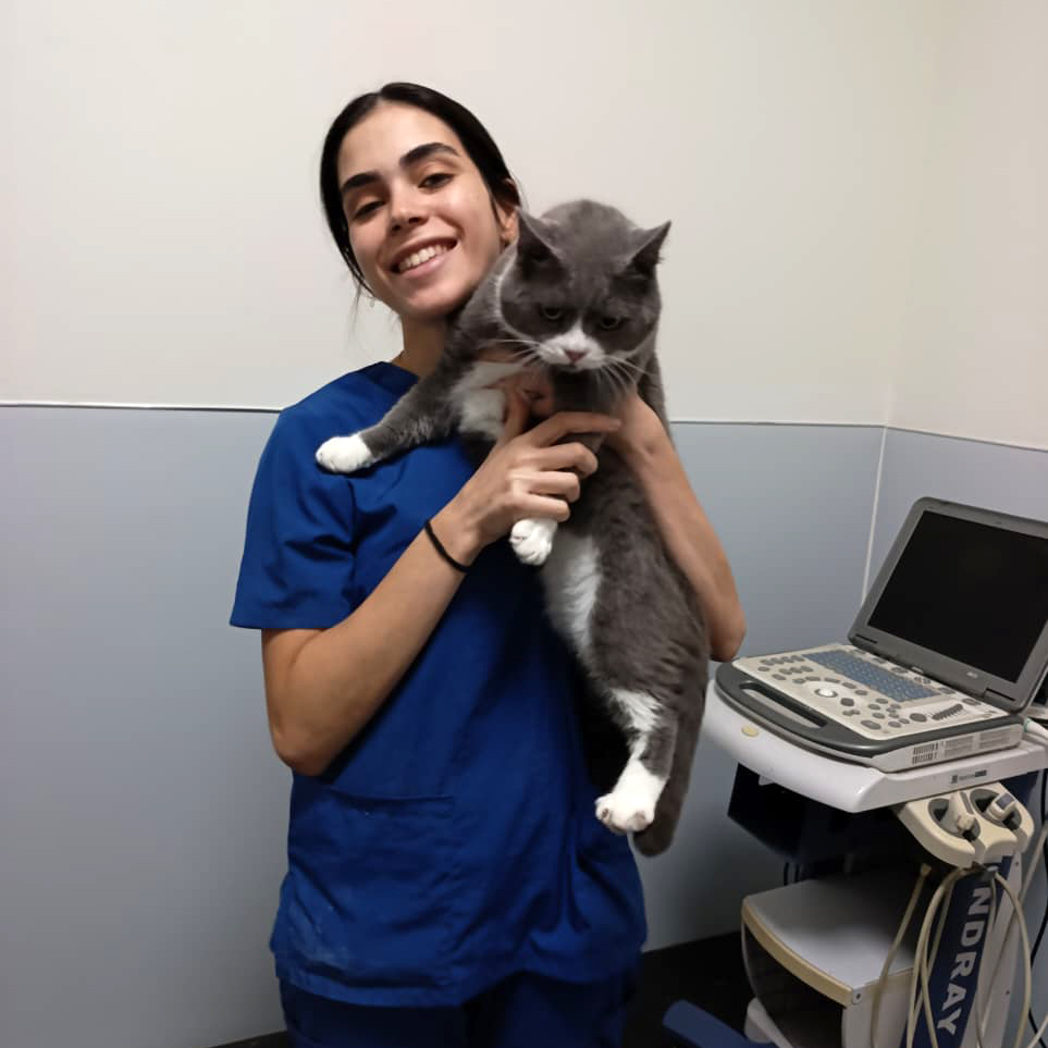 tom fiv test (2)