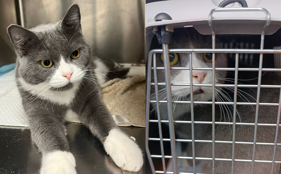 tom rushed to the hospital