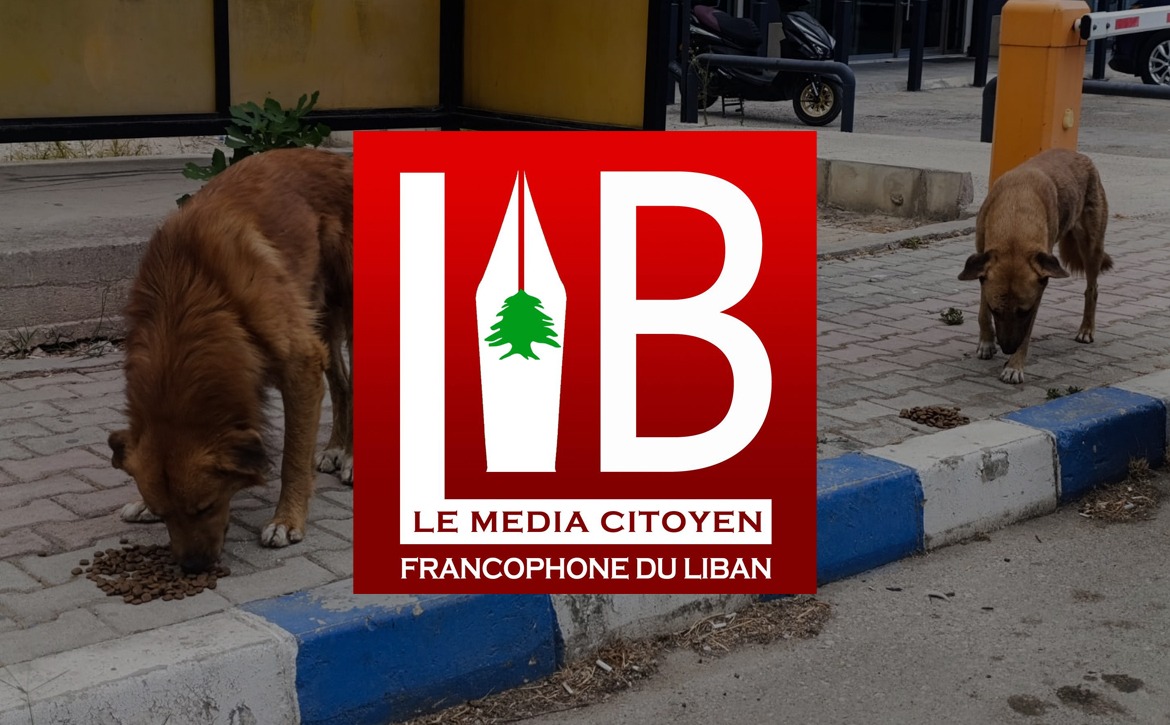 libnanews feb 26