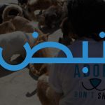 nabd feb 26