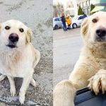 rocky update apr 9